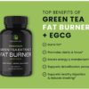 Nobi Nutrition Premium Green Tea Extract Fat Burner with EGCG - Energy Boost & Weight Loss Support