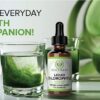 Benevolent Nourishment Chlorophyll Liquid Drops - Energy Boost, Immune System Support, Internal Deodorant, Mint Taste