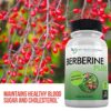 Doctor Recommended Supplement Berberine Plus 1200mg Support Healthy Immune System, Improves Cardiovascular Heart & Gastrointestinal Wellness