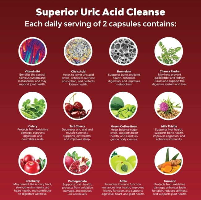 Natures Craft Herbal Uric Acid Cleanse & Detox - Essential Daily Kidney Cleanse and Uric Acid Support for Adults