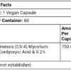 MRM Nutrition Cordyceps CS-4 Strain - Supports Immune, Respiratory & Cardiovascular Systems
