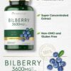 Carlyle Bilberry 3600mg - Diarrhea, Inflammation of the Mouth, Urinary Problems & Diabetes